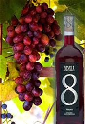 8 Brix Verjus Red - 500ml (16.9 oz)