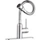 Faucet with Flexible Spout CR