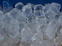 230 Volt Countertop Ice & Water - No Filter - 15 lb Storage Capacity