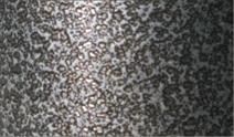The 'Monte Carlo' Powder Coat Donut Top Ash/Trash Receptacle 33 Gallon