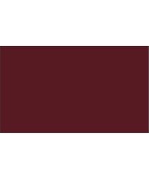 The 'Monte Carlo' Powder Coat Tip Action Receptacle 12 Gallon